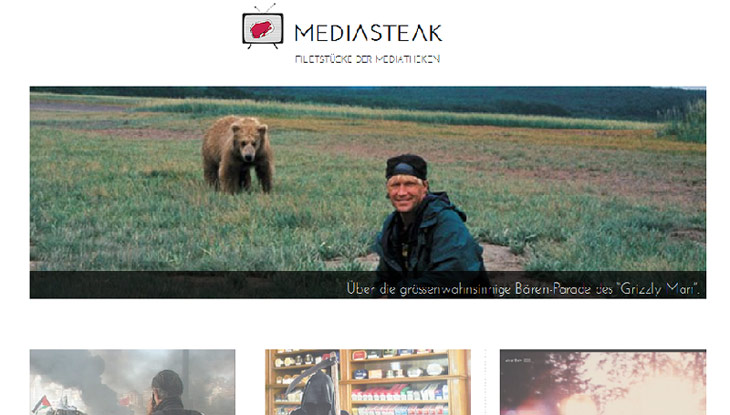 Screenshot "Mediasteak"