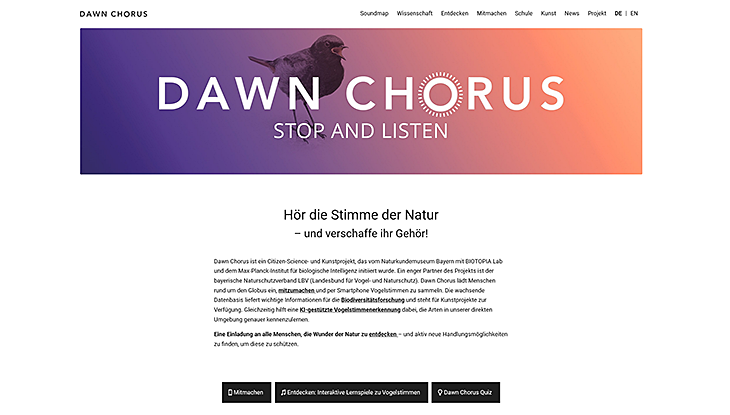 Screenshot Webseite "Dawn Chorus"